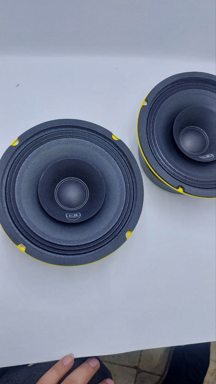 میدرنج 6 اینچ ال اس آدیو مدل LS-M65E4